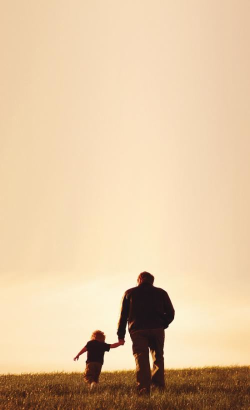 猜谜语题目:九九八十一《打一个植物学词》