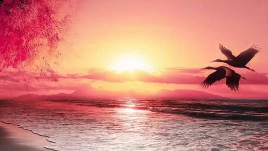 靠近篝火来玩耍 《3字口语》