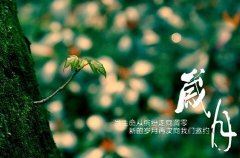 “第一仙人许状头” 《5字美国电视连续剧》