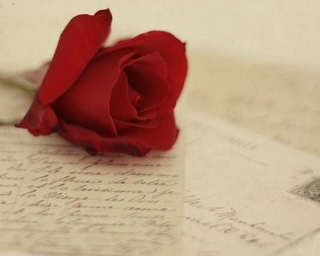 两只翅膀难飞翔,既作衣裳又作房,宁让大水掀下海,不叫太阳晒干房《打一个动物》