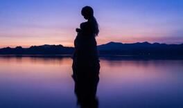 不带糕不带糖,小鸡家里拜年忙,爪爪尖尾巴长,肚里有副坏心肠《打一个动物》