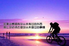 稀客 《四字俗语》