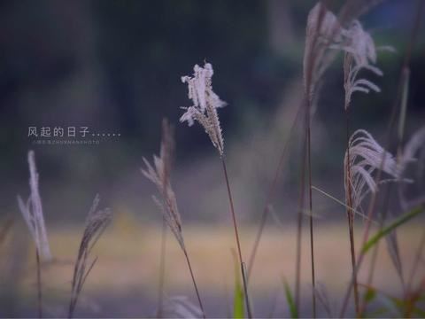 撇开利欲_后普渡天下苍生 《环境名词》