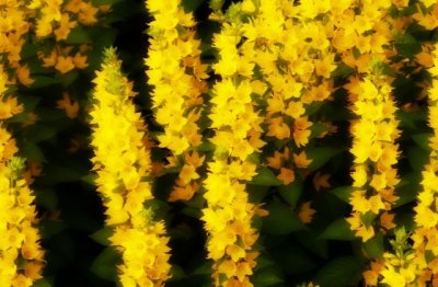 节约为原则 《称谓、职务一》