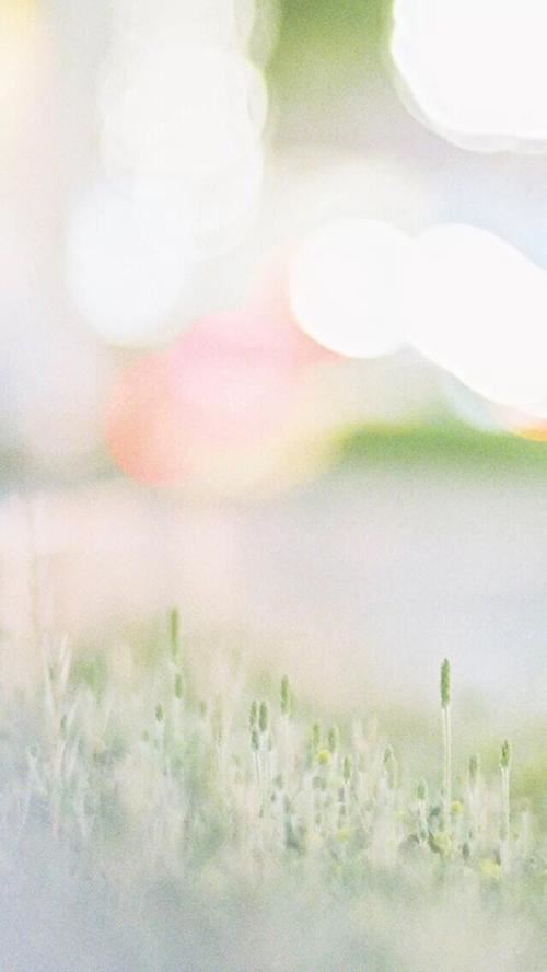 良人何日罢远征 《歌手》