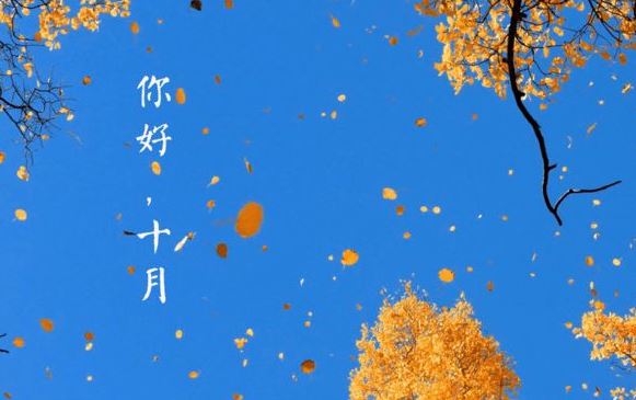 功亏一篑因自负《猜一成语》