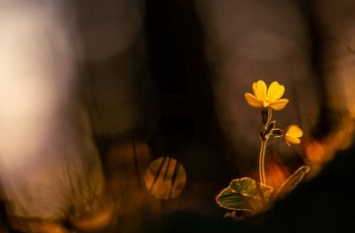 工作要点有三：除弊端_抓重点_全力以赴《猜一中国地名》