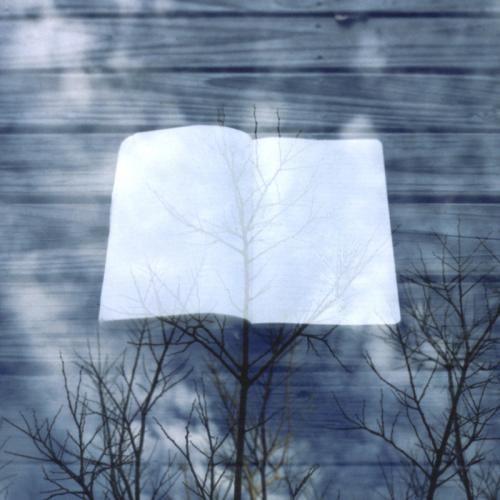 猜谜语题目:挑嫩的《打一个人名》