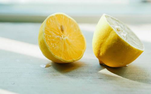 圆圆铜钱挂满身_青皮青骨园中生_本是高低不统一_硬说长得一样齐《猜一植物》