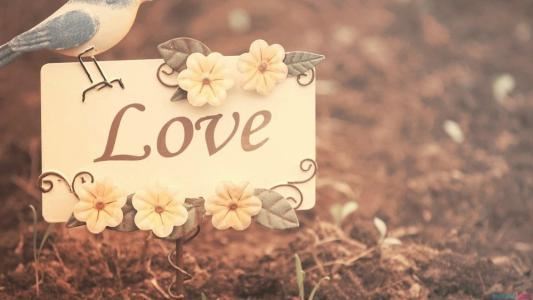 大丈夫当战死沙场 《党建用语》