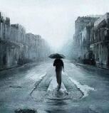 八戒神吹孙悟空《猜一动物名》