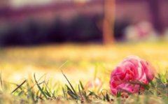 不见悟空来启秉 《三字新词》