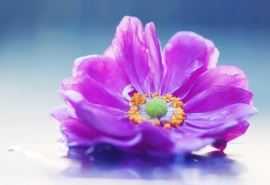 杜绝当官收红包 《骊珠》