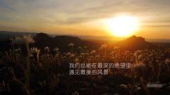 甘心为国家底少_始终清苦志存高 《知名企业》