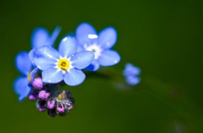 十八相送执手望 《九画单字》