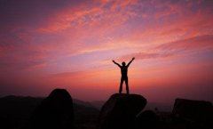 桃花相映悟空脸 《动物》