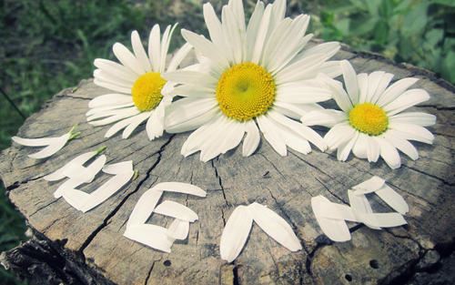 上上下下_不上不下《猜一字》