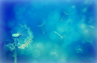 单人自变重组合 《八画单字》