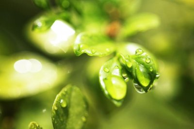假日有雨_月隐太虚 《运动员》