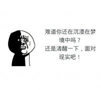 胖子大娘,背个大筐,剪刀两把,筷子四双《打一个动物》