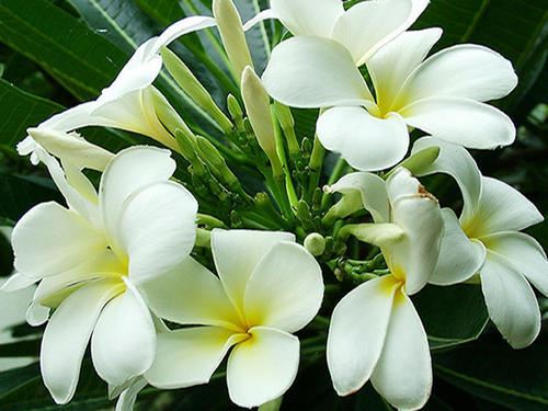 大漠孤烟直,河落日圆《猜一成语》