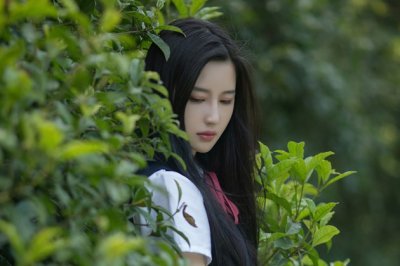 小溪潺潺　《猜京剧唱腔板式》