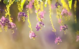 终生不忘请放心　《猜7笔字》