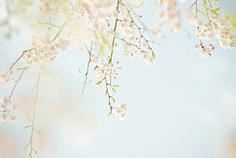 尚练书法尚练拳 《影人二》