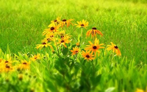 除夕作揖贺新年 《离合字》