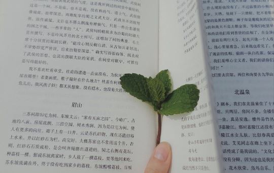 频频换主人 《毛泽东诗词两句连》