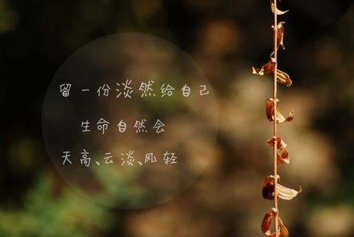 遣查天下枭雄数_ 归来报与我听 《杜诗》