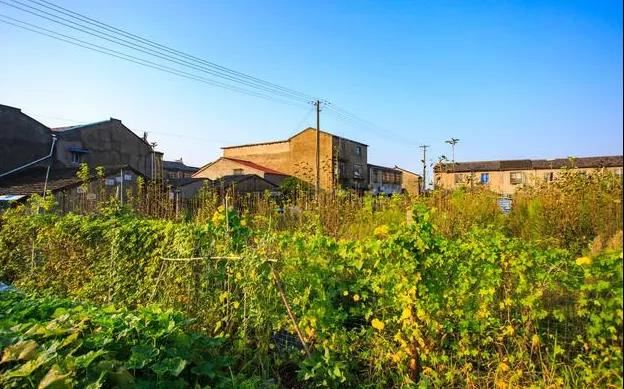 有了身孕后_始未谋过面 《打一成语》