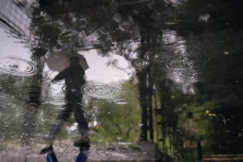 不甘留居陇_迁至琼省城 《自然灾害》