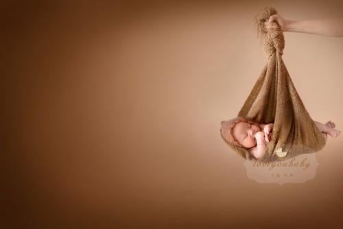 叫猫不抓鼠_像熊爱吃竹-摇摆惹人爱_是猫还是熊《猜一动物》