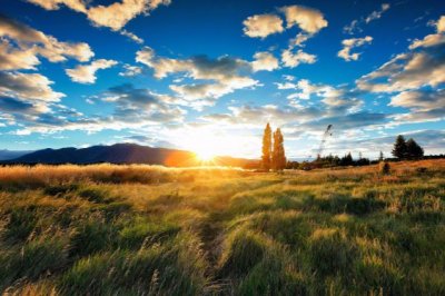 兄弟真不少_排队去洗澡_上来又下去_苗儿却喝饱-《猜一农机具》