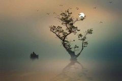 放眼大地成泽国 《骊珠》