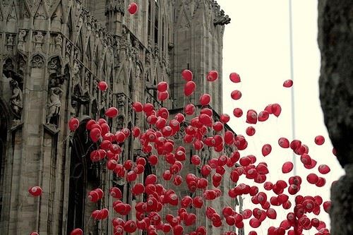 玉容深锁今始见《猜一植物学词语》