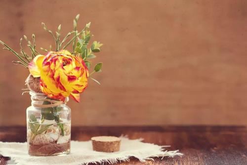 常将酒钥开眉锁 《骊珠》