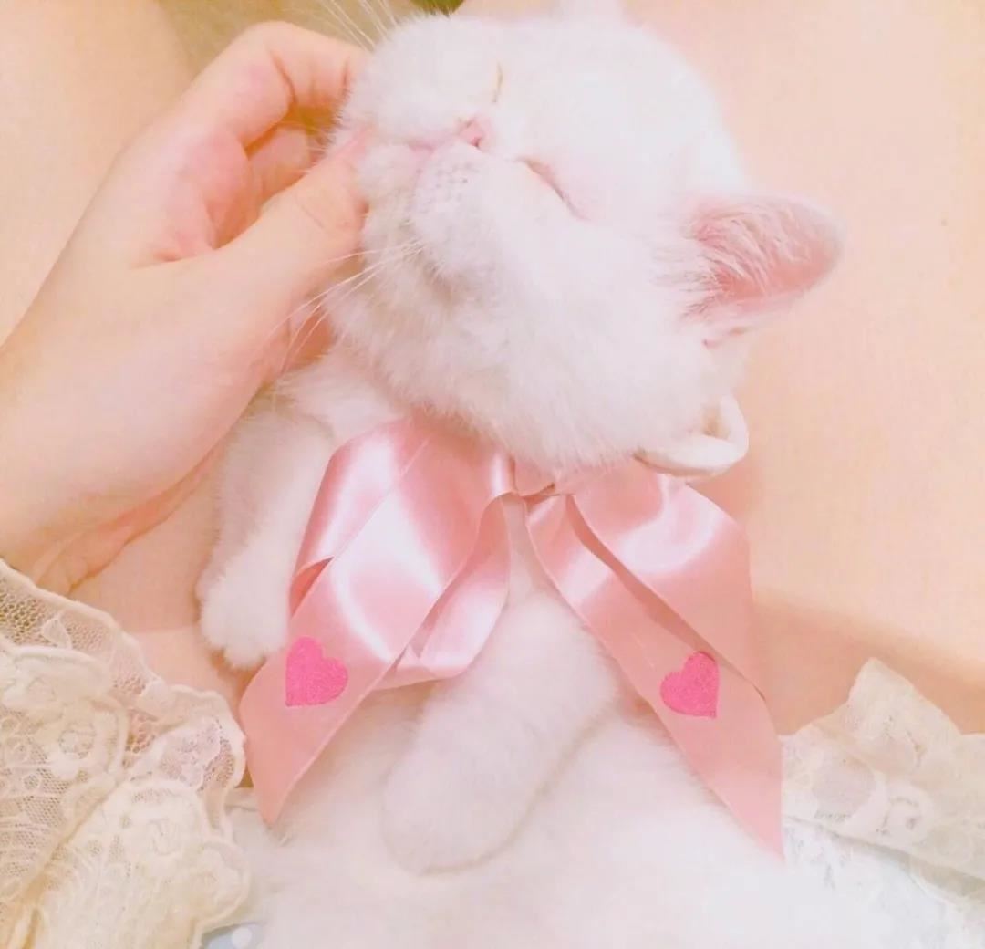 碧海 《神雕人物_求凰格》