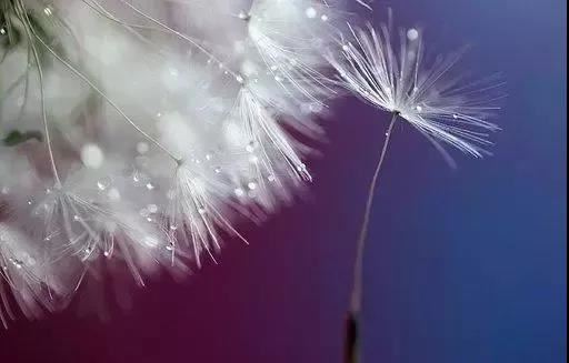 猜谜语题目:天涯海角《打一首歌曲名》