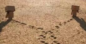 眉头一皱《猜一数学词语》