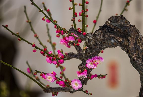 家里又脏又乱_怎样才能在最短时间内弄干净？