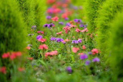 八十分《猜一数学词语》