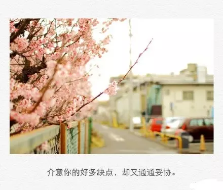 管教不严珠胎结《猜一人名》