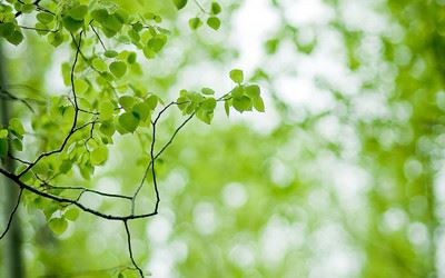 立春心失意_白首一书生 《8笔字》