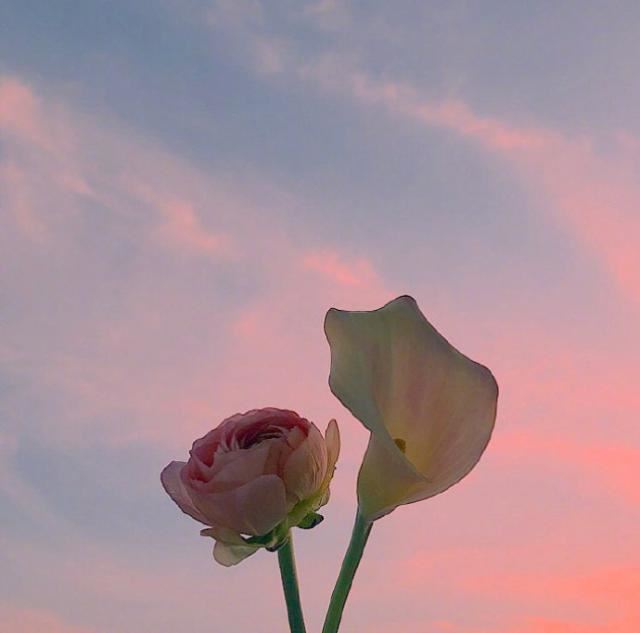 “一溪齐绽武陵春” 《重庆名食》