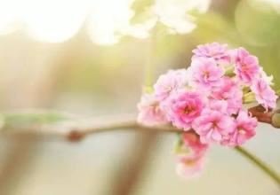 到处不见出租车 《常用词》