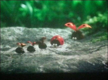 横山影畔采石矶 《六画单字》