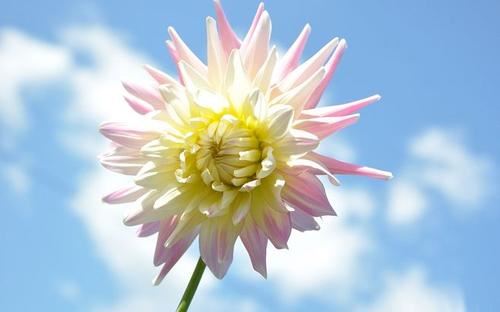 愿用家财万贯_买个太阳不下山《4字教育用语》