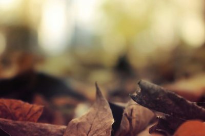 但见庭燎烧空_香屑布地_火烧琪花_金窗玉槛 《骊珠》